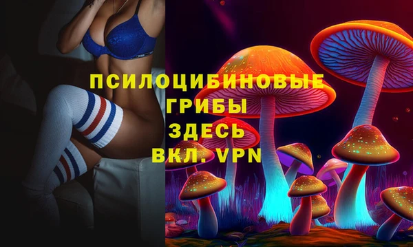 спайс Вязники