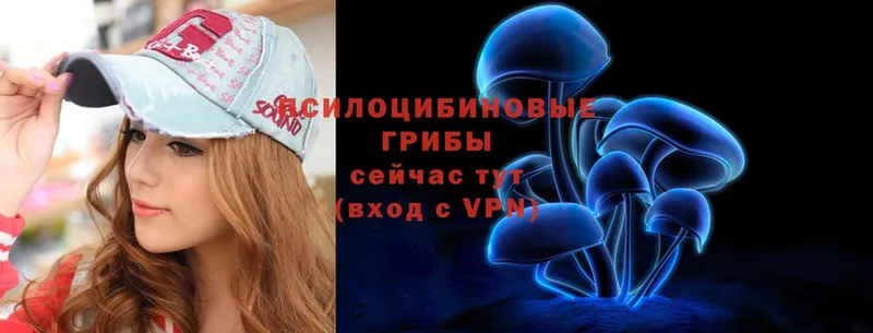 Галлюциногенные грибы ЛСД  Баймак 